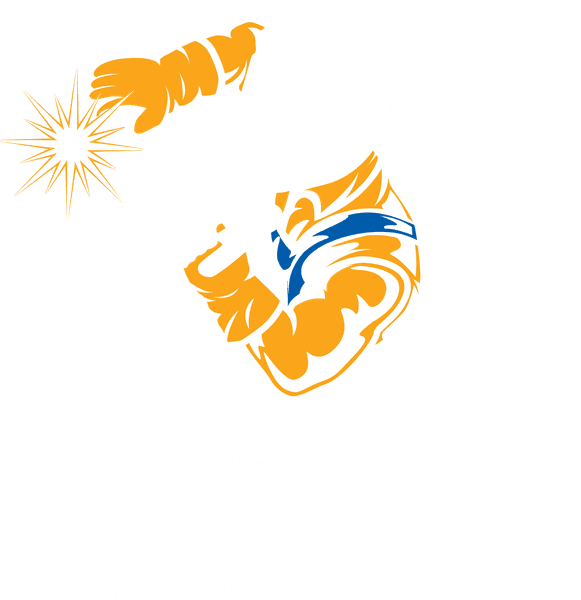 SW Service & Solutions LLC